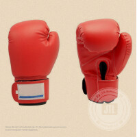 Boxhandschuhe 12