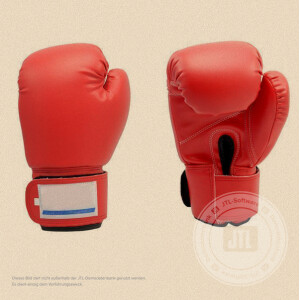 Boxhandschuhe 14