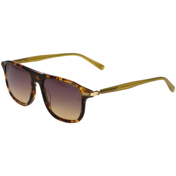 Scotch & Soda 8013 102 Damen Vollrand Braun